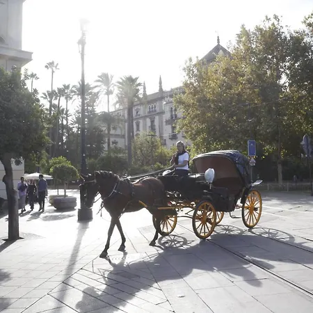 La Estrella De Triana - Encantador Y Bien Situado * Sevilla